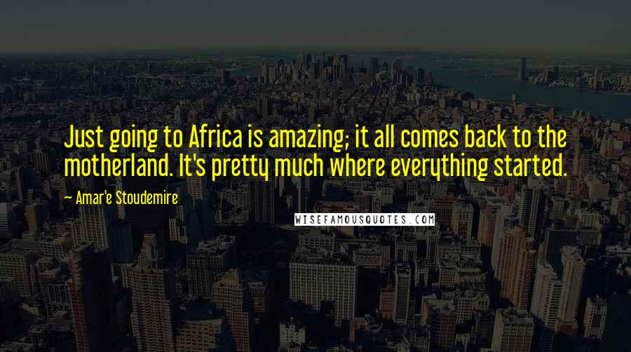 Amar'e Stoudemire Quotes: Just going to Africa is amazing; it all comes back to the motherland. It's pretty much where everything started.