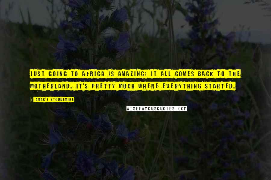 Amar'e Stoudemire Quotes: Just going to Africa is amazing; it all comes back to the motherland. It's pretty much where everything started.