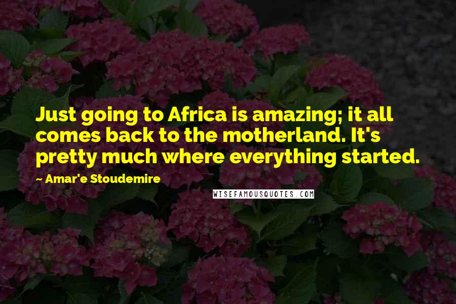 Amar'e Stoudemire Quotes: Just going to Africa is amazing; it all comes back to the motherland. It's pretty much where everything started.