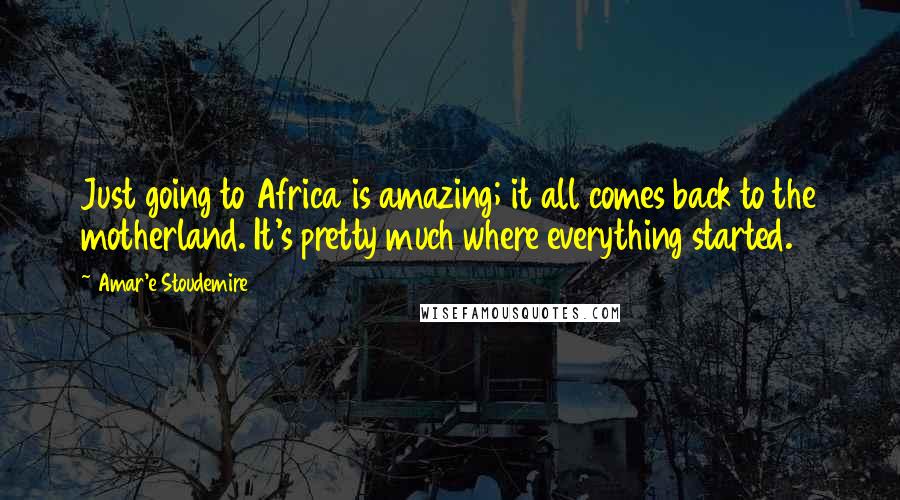 Amar'e Stoudemire Quotes: Just going to Africa is amazing; it all comes back to the motherland. It's pretty much where everything started.