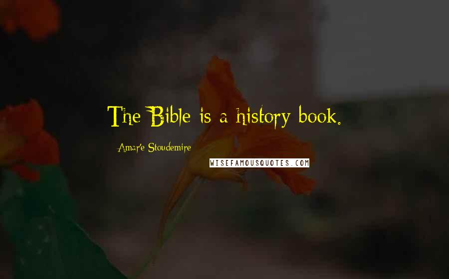 Amar'e Stoudemire Quotes: The Bible is a history book.