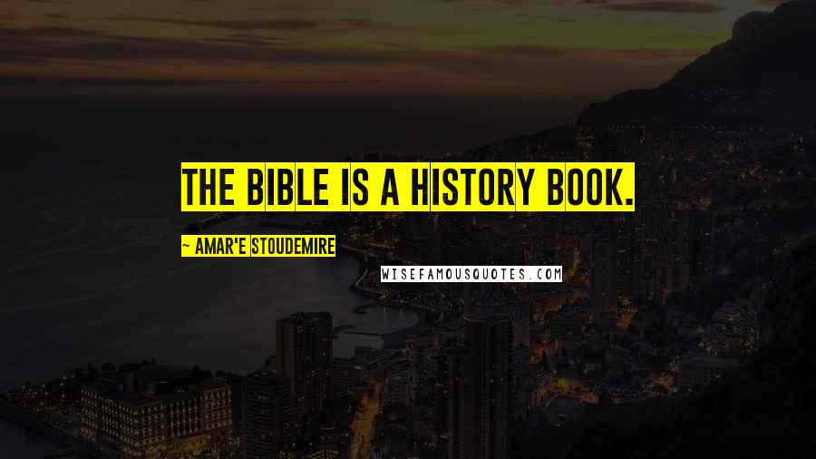 Amar'e Stoudemire Quotes: The Bible is a history book.