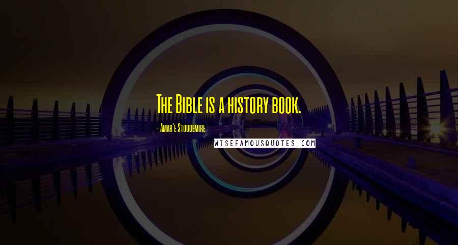 Amar'e Stoudemire Quotes: The Bible is a history book.