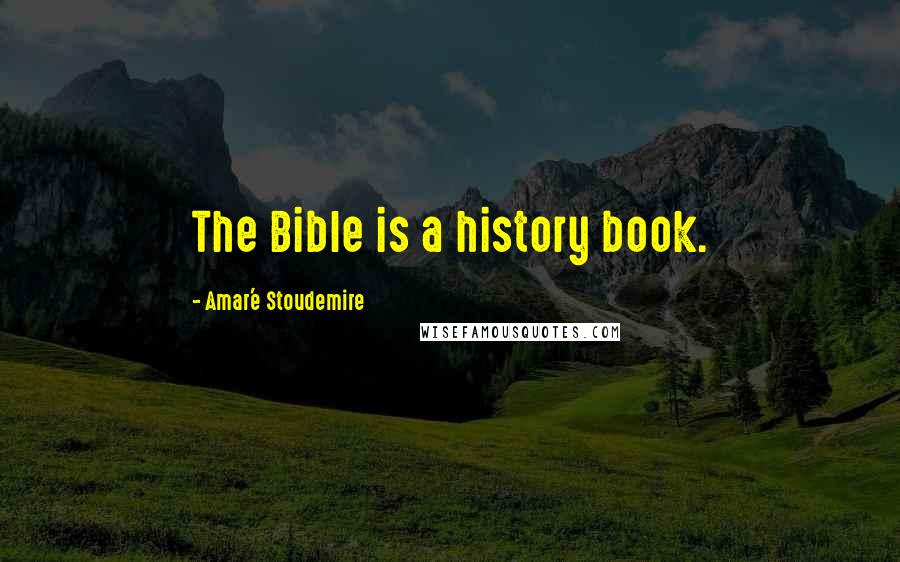 Amar'e Stoudemire Quotes: The Bible is a history book.