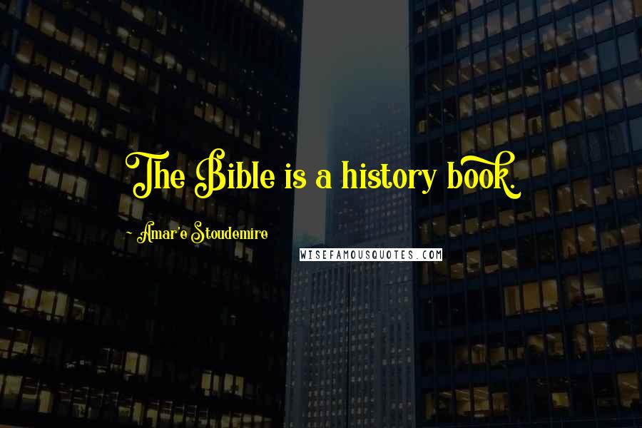 Amar'e Stoudemire Quotes: The Bible is a history book.