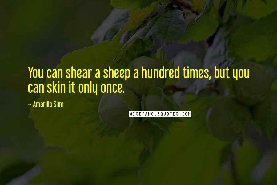 Amarillo Slim Quotes: You can shear a sheep a hundred times, but you can skin it only once.