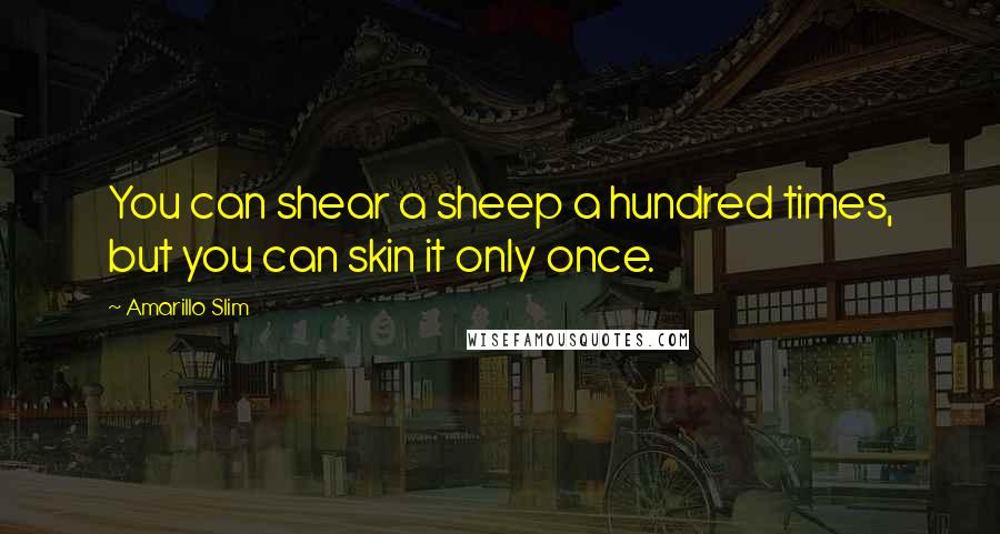 Amarillo Slim Quotes: You can shear a sheep a hundred times, but you can skin it only once.