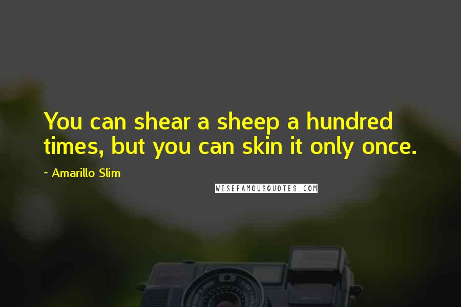 Amarillo Slim Quotes: You can shear a sheep a hundred times, but you can skin it only once.