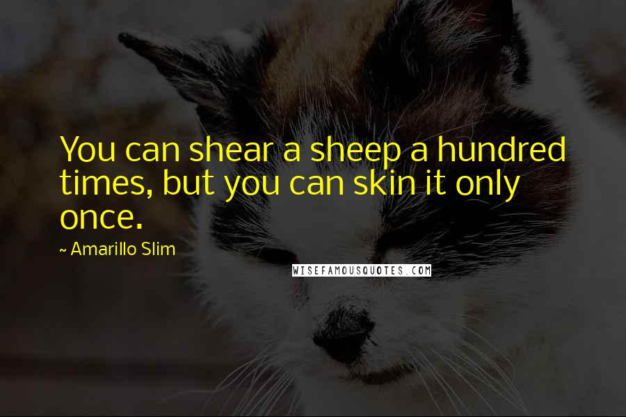 Amarillo Slim Quotes: You can shear a sheep a hundred times, but you can skin it only once.