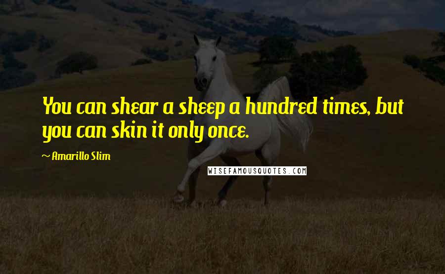 Amarillo Slim Quotes: You can shear a sheep a hundred times, but you can skin it only once.