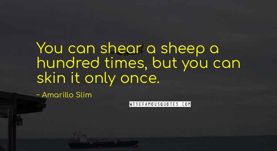 Amarillo Slim Quotes: You can shear a sheep a hundred times, but you can skin it only once.