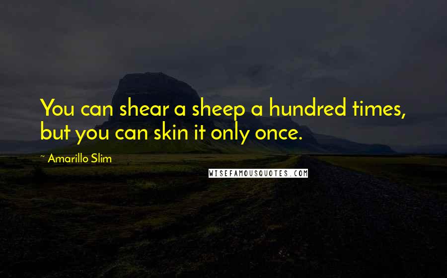 Amarillo Slim Quotes: You can shear a sheep a hundred times, but you can skin it only once.