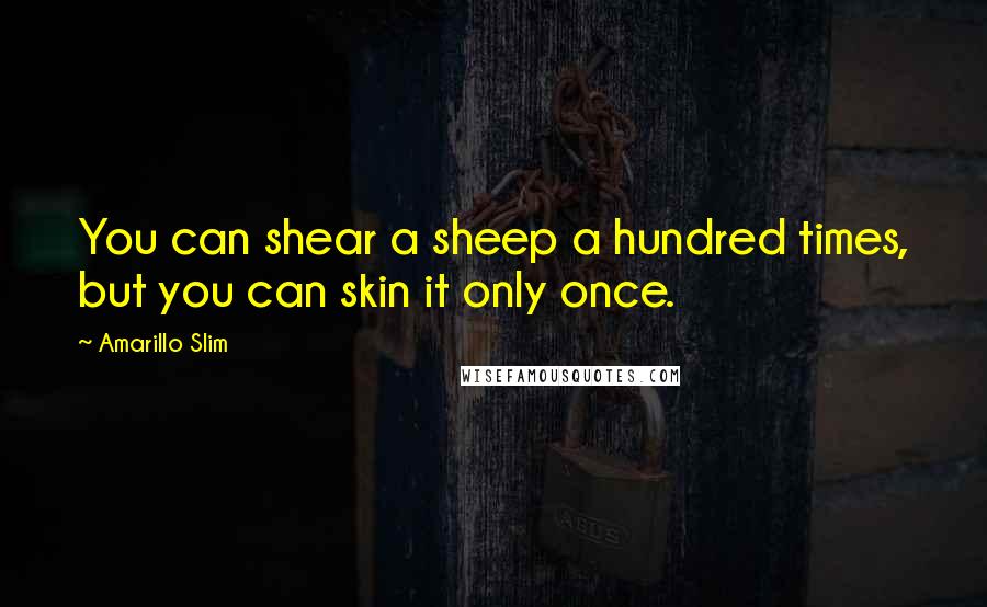 Amarillo Slim Quotes: You can shear a sheep a hundred times, but you can skin it only once.