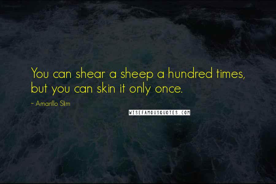 Amarillo Slim Quotes: You can shear a sheep a hundred times, but you can skin it only once.