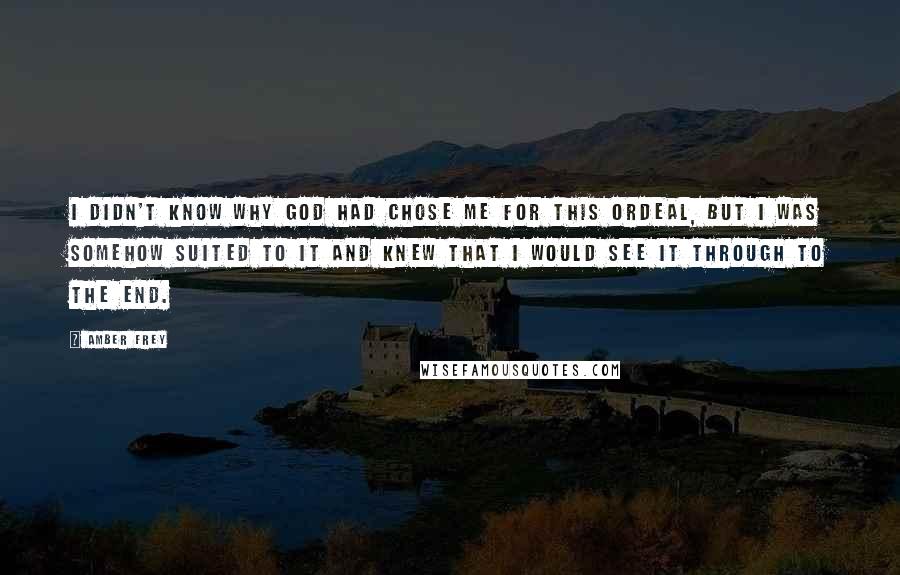 Amber Frey Quotes: I didn't know why God had chose me for this ordeal, but I was somehow suited to it and knew that I would see it through to the end.