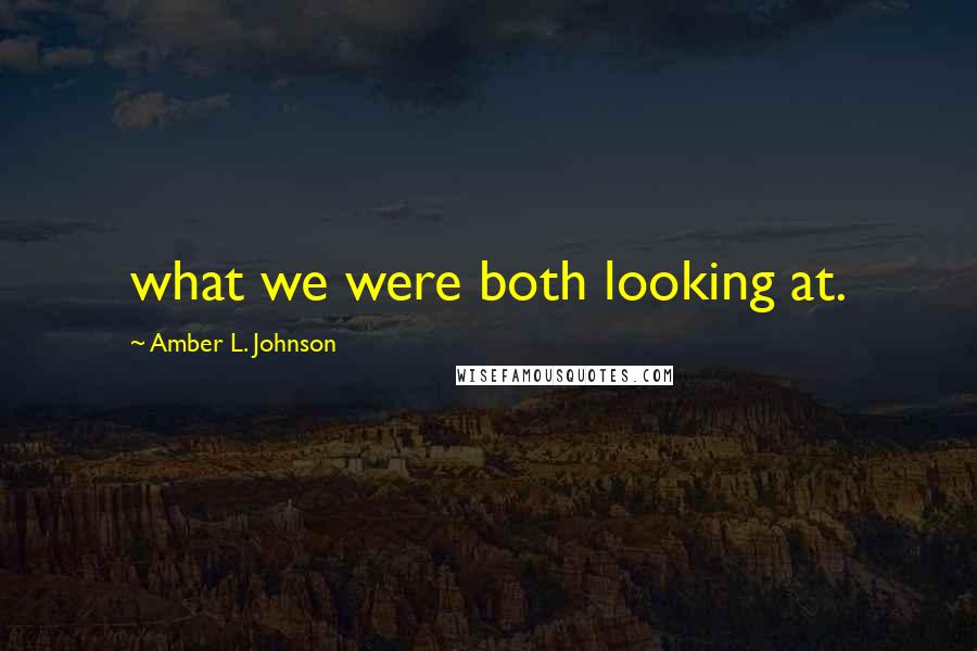 Amber L. Johnson Quotes: what we were both looking at.