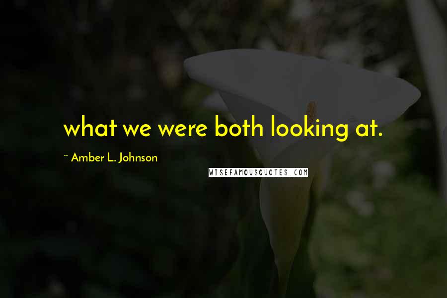 Amber L. Johnson Quotes: what we were both looking at.