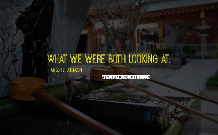 Amber L. Johnson Quotes: what we were both looking at.