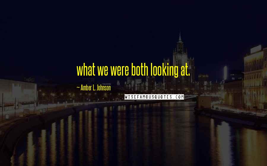 Amber L. Johnson Quotes: what we were both looking at.