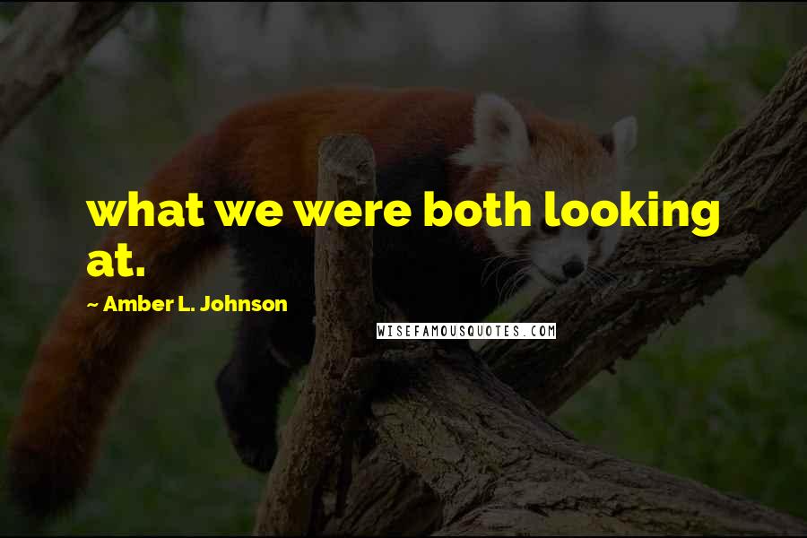 Amber L. Johnson Quotes: what we were both looking at.