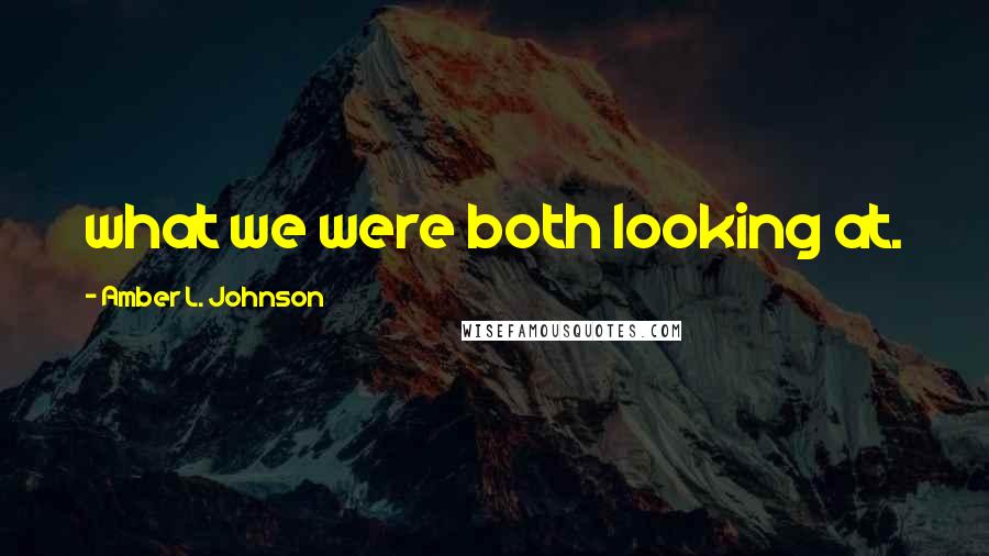 Amber L. Johnson Quotes: what we were both looking at.