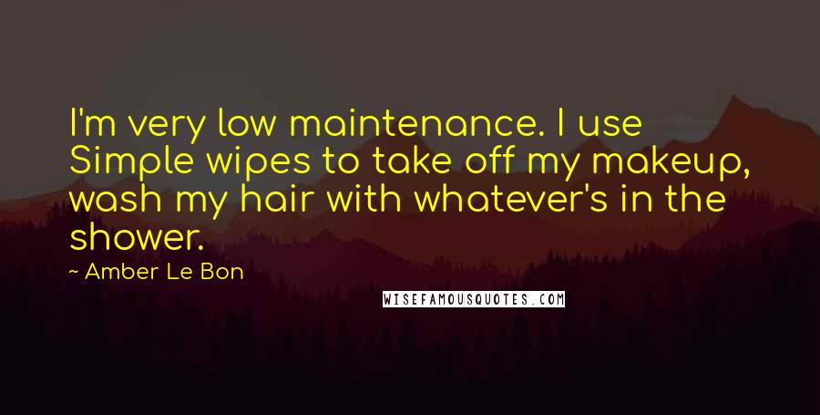 Amber Le Bon Quotes: I'm very low maintenance. I use Simple wipes to take off my makeup, wash my hair with whatever's in the shower.