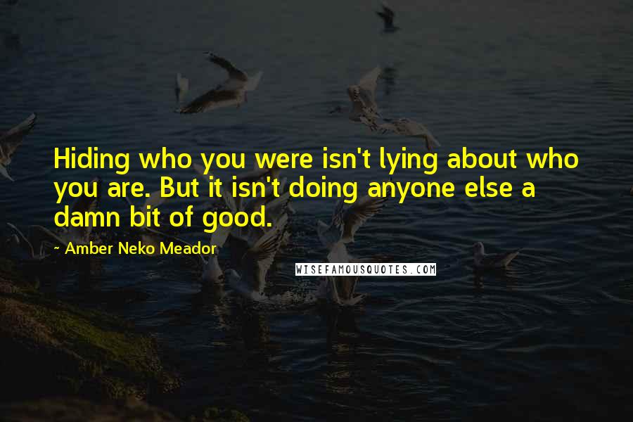 Amber Neko Meador Quotes: Hiding who you were isn't lying about who you are. But it isn't doing anyone else a damn bit of good.