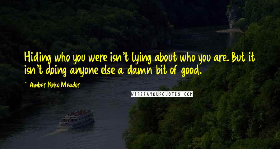 Amber Neko Meador Quotes: Hiding who you were isn't lying about who you are. But it isn't doing anyone else a damn bit of good.