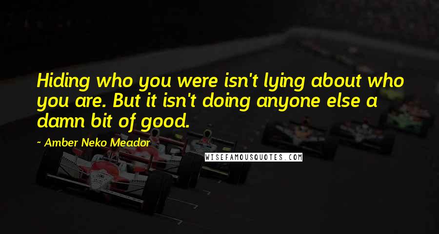 Amber Neko Meador Quotes: Hiding who you were isn't lying about who you are. But it isn't doing anyone else a damn bit of good.