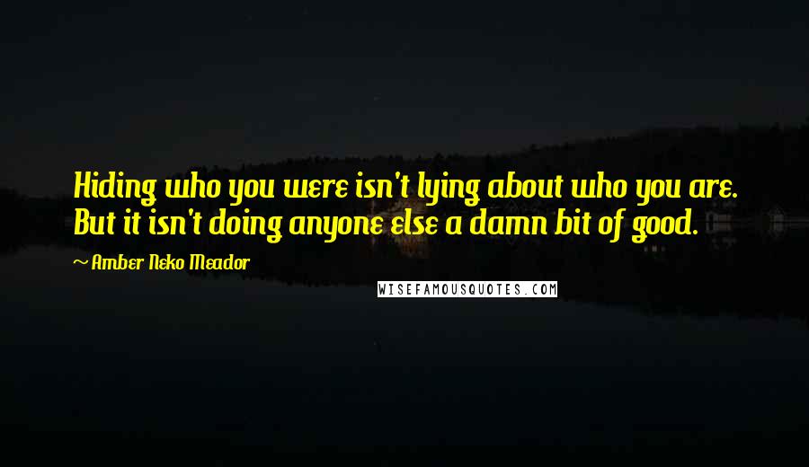 Amber Neko Meador Quotes: Hiding who you were isn't lying about who you are. But it isn't doing anyone else a damn bit of good.