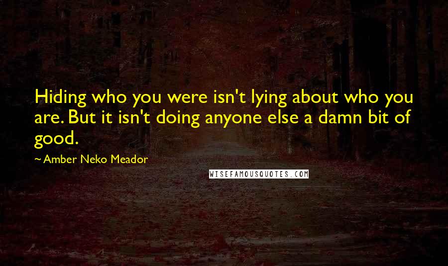 Amber Neko Meador Quotes: Hiding who you were isn't lying about who you are. But it isn't doing anyone else a damn bit of good.