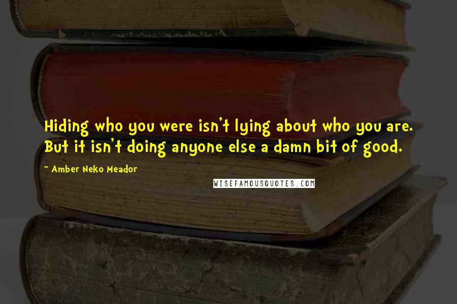 Amber Neko Meador Quotes: Hiding who you were isn't lying about who you are. But it isn't doing anyone else a damn bit of good.