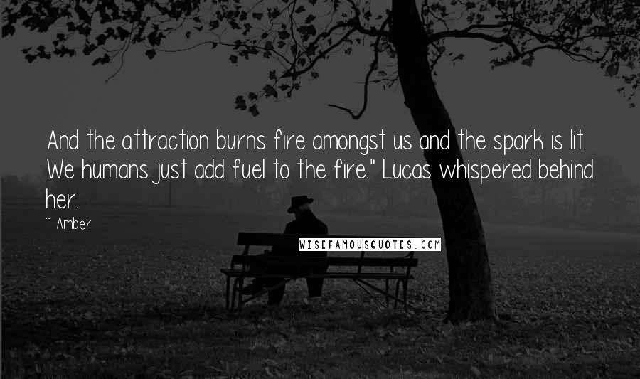 Amber Quotes: And the attraction burns fire amongst us and the spark is lit. We humans just add fuel to the fire." Lucas whispered behind her.
