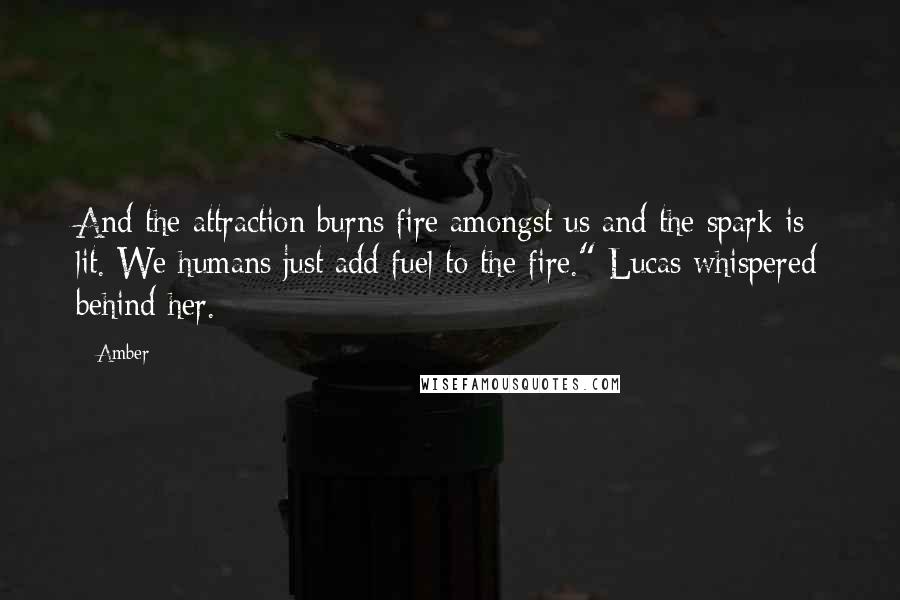 Amber Quotes: And the attraction burns fire amongst us and the spark is lit. We humans just add fuel to the fire." Lucas whispered behind her.