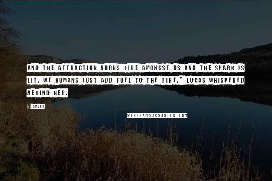 Amber Quotes: And the attraction burns fire amongst us and the spark is lit. We humans just add fuel to the fire." Lucas whispered behind her.