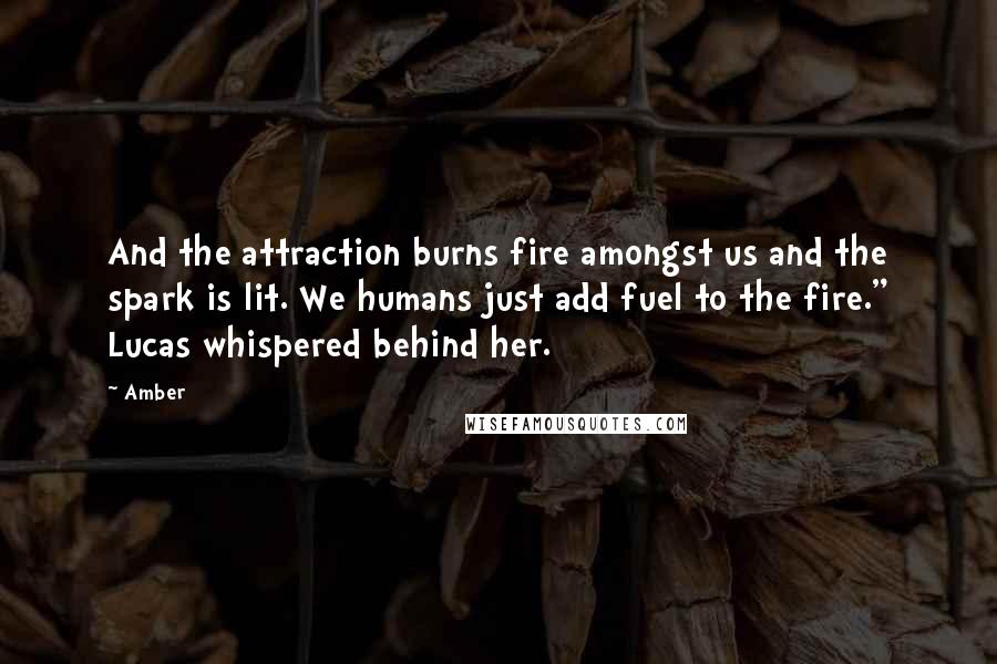 Amber Quotes: And the attraction burns fire amongst us and the spark is lit. We humans just add fuel to the fire." Lucas whispered behind her.