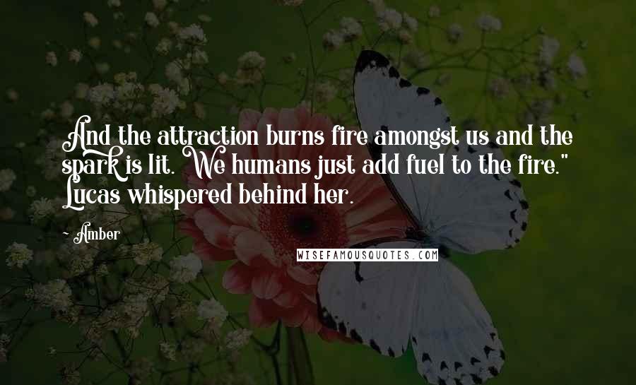 Amber Quotes: And the attraction burns fire amongst us and the spark is lit. We humans just add fuel to the fire." Lucas whispered behind her.