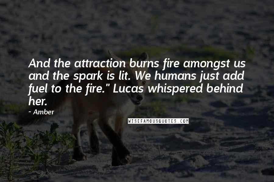 Amber Quotes: And the attraction burns fire amongst us and the spark is lit. We humans just add fuel to the fire." Lucas whispered behind her.