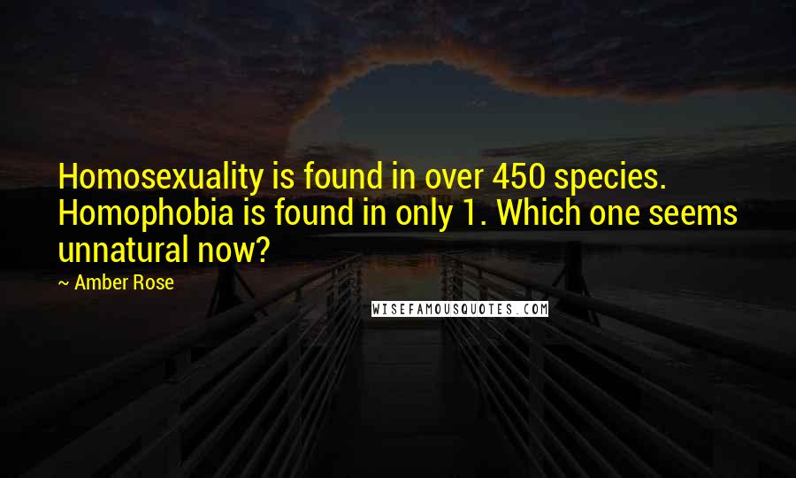 Amber Rose Quotes: Homosexuality is found in over 450 species. Homophobia is found in only 1. Which one seems unnatural now?