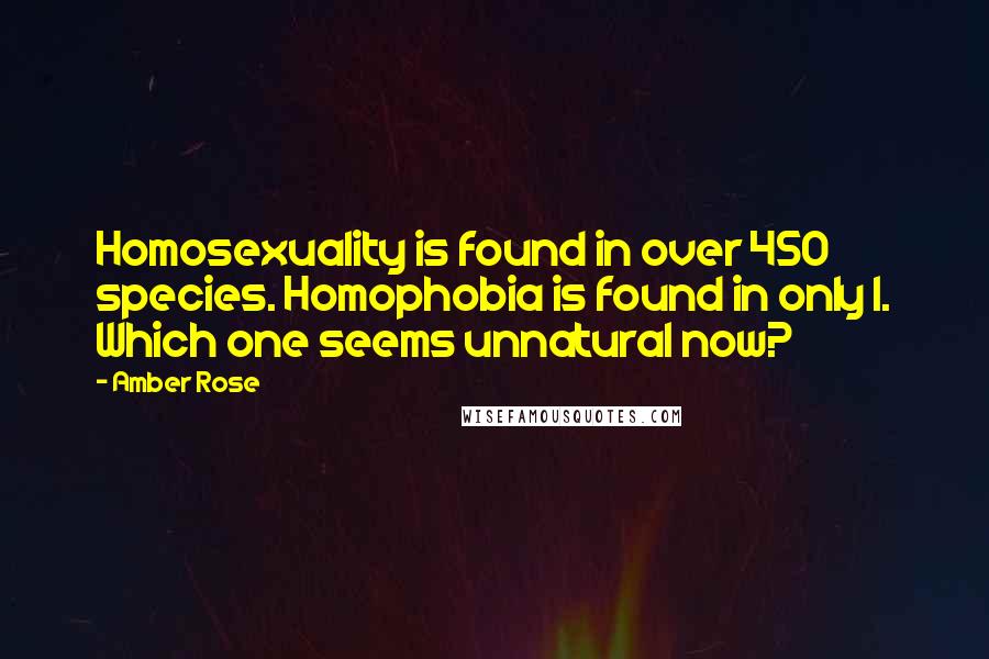 Amber Rose Quotes: Homosexuality is found in over 450 species. Homophobia is found in only 1. Which one seems unnatural now?