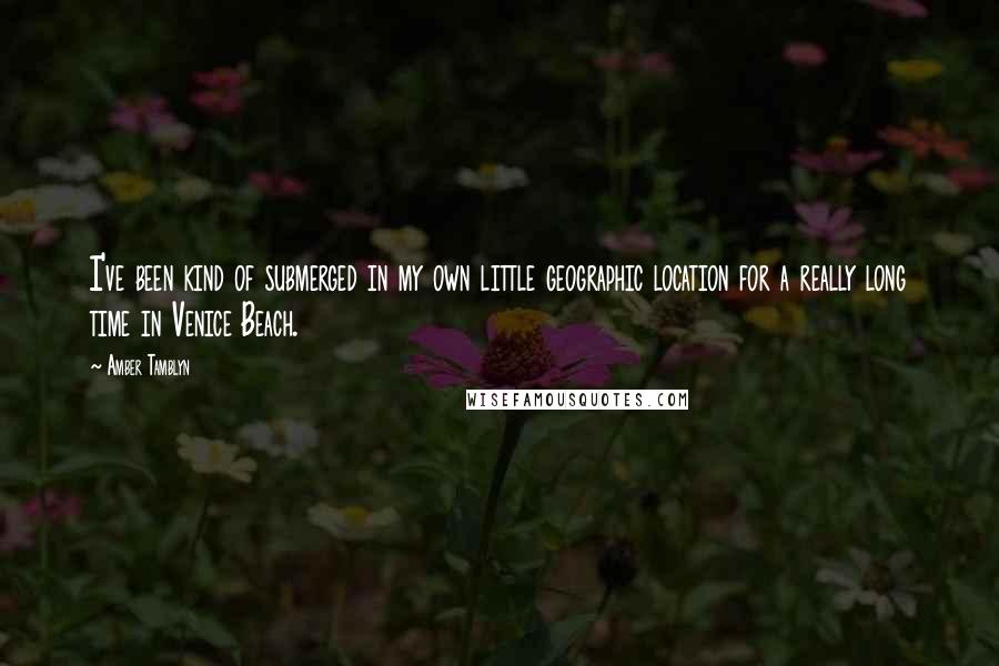 Amber Tamblyn Quotes: I've been kind of submerged in my own little geographic location for a really long time in Venice Beach.