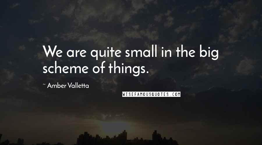 Amber Valletta Quotes: We are quite small in the big scheme of things.