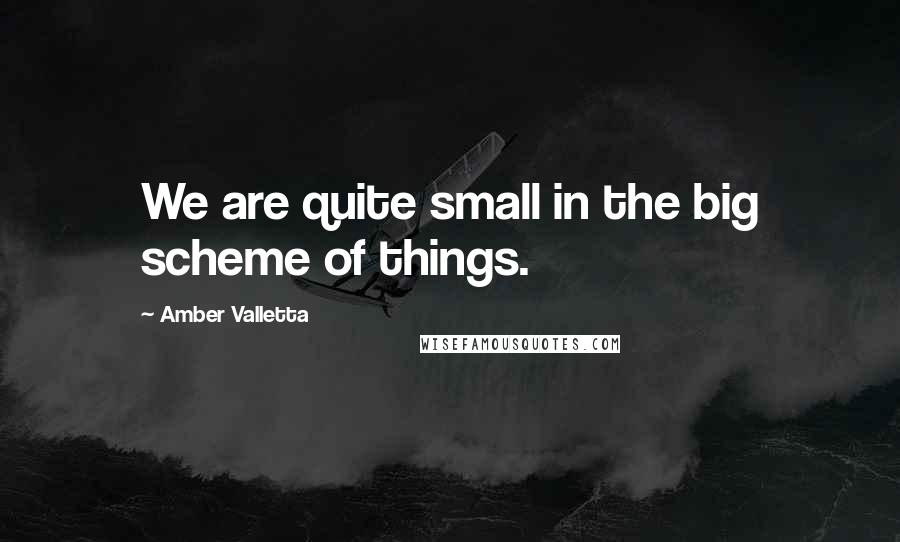 Amber Valletta Quotes: We are quite small in the big scheme of things.