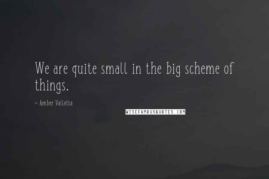 Amber Valletta Quotes: We are quite small in the big scheme of things.