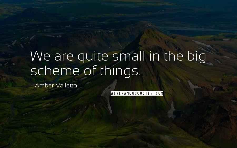Amber Valletta Quotes: We are quite small in the big scheme of things.