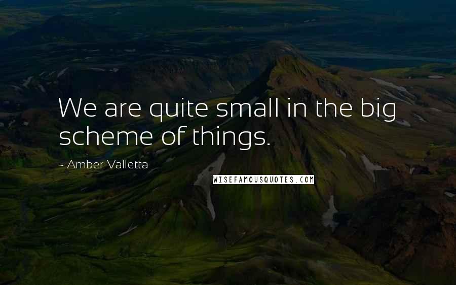 Amber Valletta Quotes: We are quite small in the big scheme of things.