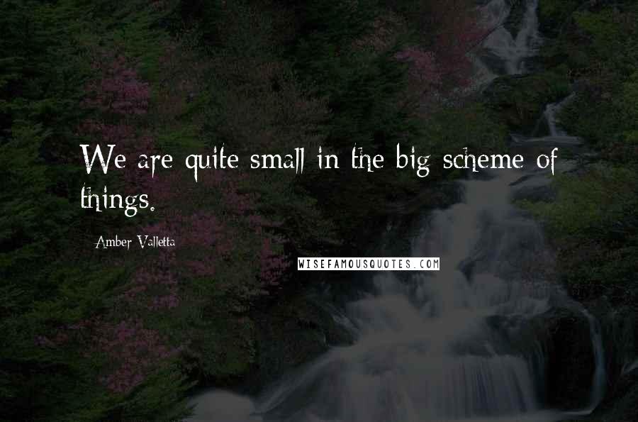 Amber Valletta Quotes: We are quite small in the big scheme of things.