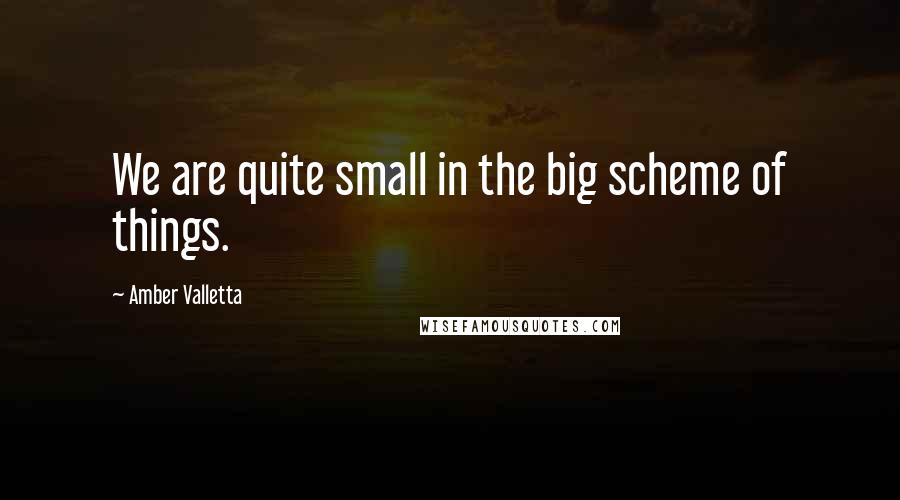 Amber Valletta Quotes: We are quite small in the big scheme of things.