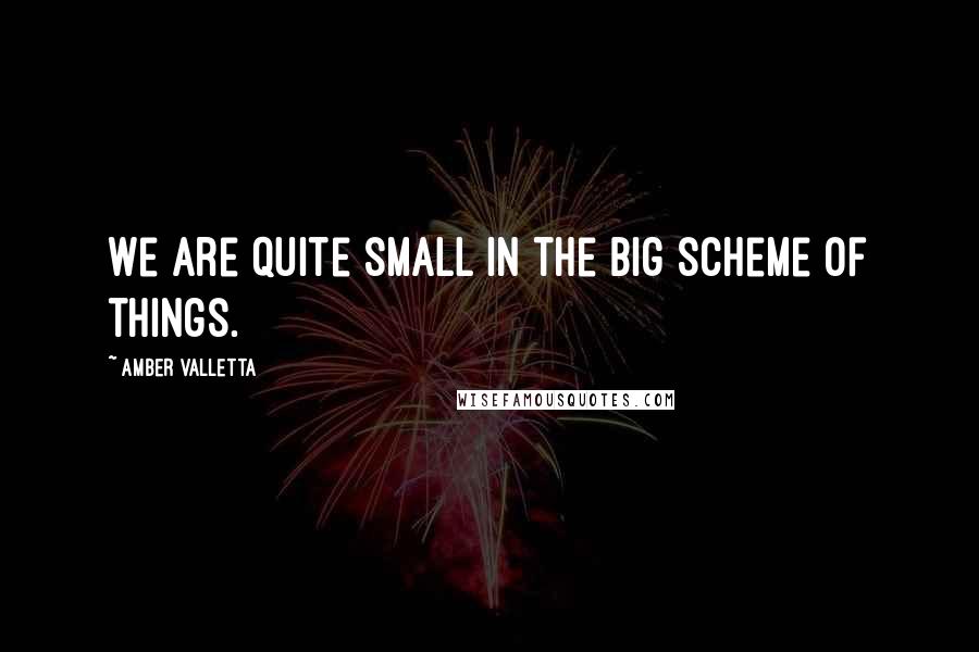 Amber Valletta Quotes: We are quite small in the big scheme of things.