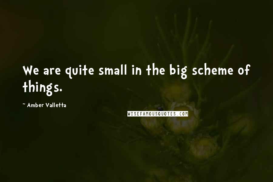 Amber Valletta Quotes: We are quite small in the big scheme of things.